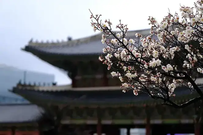 Seoul
